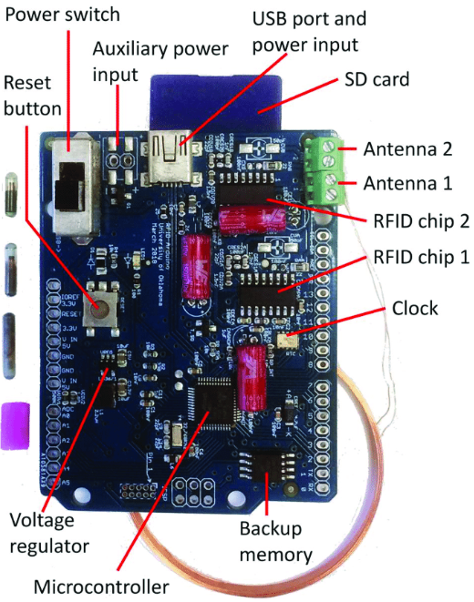 Role of Conductive Pathways